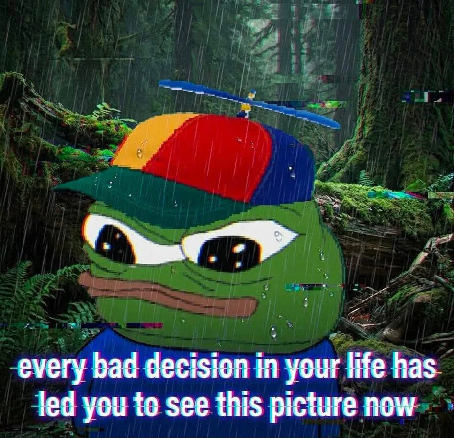 A sad frog in a propeller hat stands in a rainy, glitching forest above text saying every bad decision in your life led you to this picture.